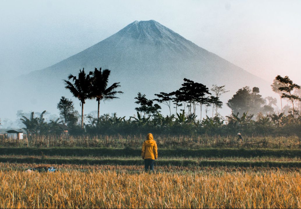 Natuur in Indonesië