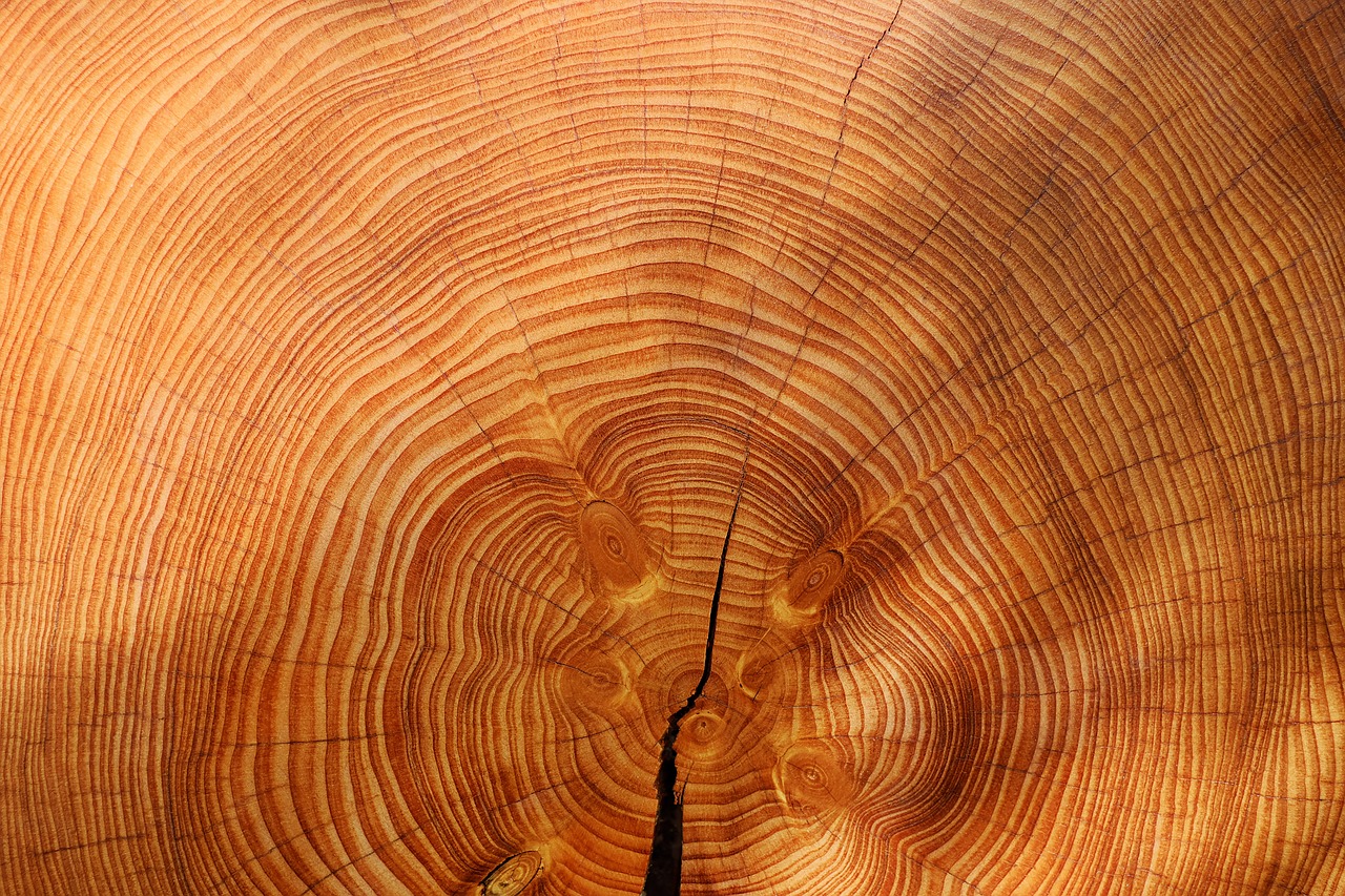 epoxy